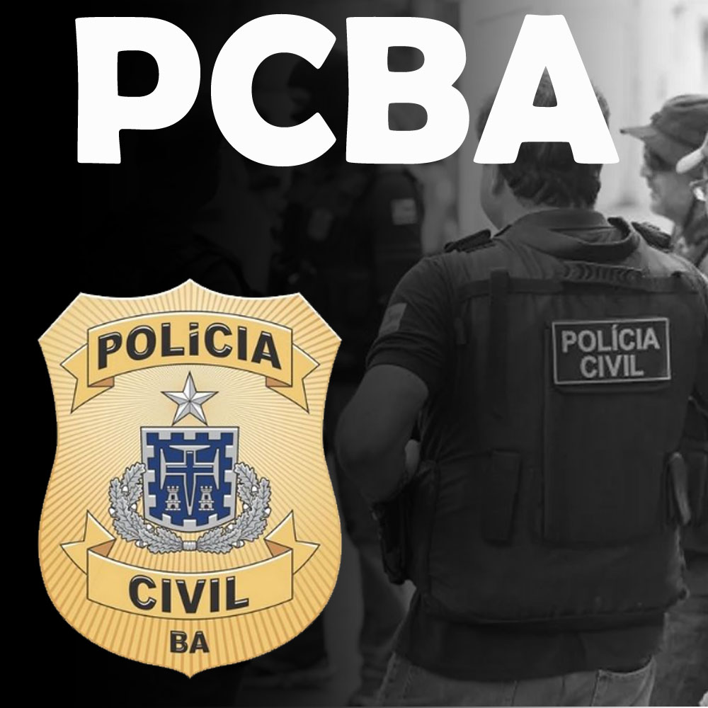 PCBA
