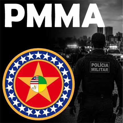 Flashcards PMMA